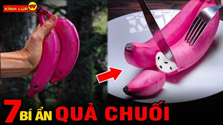 🔥 7 Bí Ẩn Ly Kỳ Và Thú Vị Về Quả Chuối Mà Ăn Cả Trăm Lần Cũng Chưa Chắc Đã Biết I Kính Lúp TV