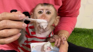 Baby Liheang So Yummy Eating Yogurt