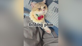 Mẹ tự hào về connnn mèo cat