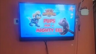 Paw Patrol Musim 9 Episode 13 Bahasa Indonesia Nickelodeon Tv