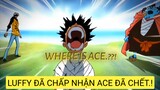 Luffy đã thực sự trưởng thành.