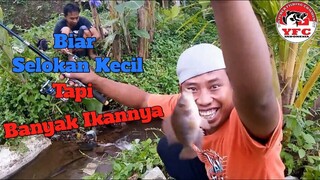 Mancing Di Selokan Kecil Banyak Ikan Nilem dan Mujair