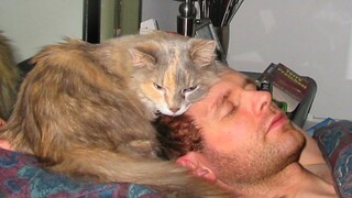 “Is this you and your cat every night?” Cute Cats And Their Humans Sleep Together