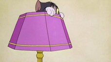 Tom and Jerry | Buddies and Lifes Compilation