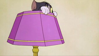 Tom and Jerry | Buddies and Lifes Compilation