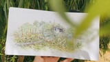 [วาดด้วยมือ] ฉันวาดสวนผักเล็กๆ เมื่อออกจาก "Collecting Everyday"~