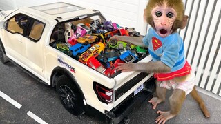 Monkey Baby Bon Bon drives a car and plays with puppy and duckling by the track