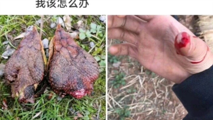 网络上那些笑死人的搞笑图片