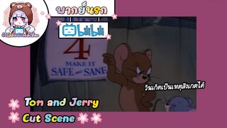 Tom and Jerry ทอมแอนเจอรี่ ตอน วันเกิดเป็นเหตุสังเกตได้ 🌸พากย์นรก🌸