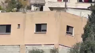 Genocide in Gaza
