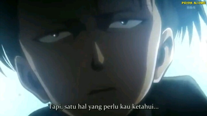 Cuma dia yang berani ngebantah omongan Levi Heichou