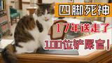 17年送走100多位铲屎官！它是“四脚死神”，同时它也是天使！