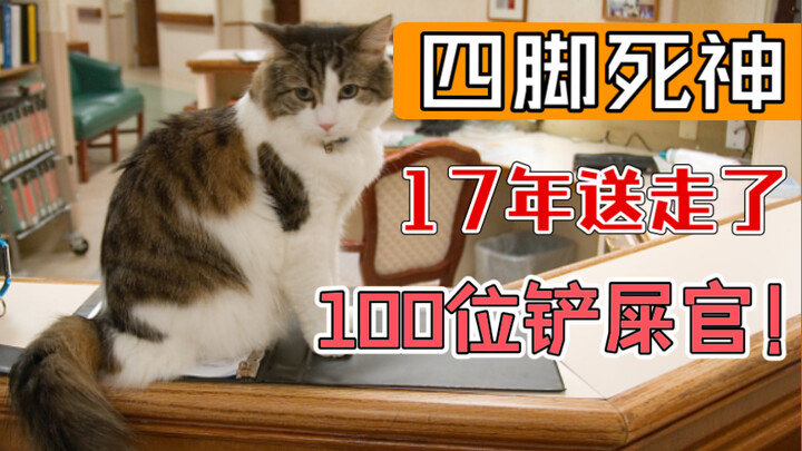 17年送走100多位铲屎官！它是“四脚死神”，同时它也是天使！