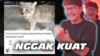 Ngakak Kelakuan Kucing ini