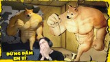 ĐỪNG ĐỂ CON CHÓ NÀY ĐẤM BẠN !!! (Pobbrose Chó 6 Múi) | Buff Doge ✔