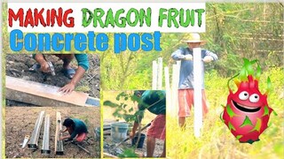 Simple way of Making DRAGON FRUIT 🌵  Concrete Post  START → FINISH 🫰 Life on the countryside