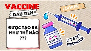 VACCINE VÀ CÂU CHUYỆN HÀNH TRÌNH VƯỢT ĐẠI DƯƠNG LỊCH SỬ | LOOKER +