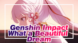 [Genshin Impact/Animatic] What a Beautiful Dream---Kamisato Ayaka