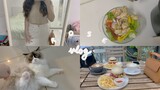 [Vlog] Weekend routine - cooking, eating, cafe lunch, visiting furry friends