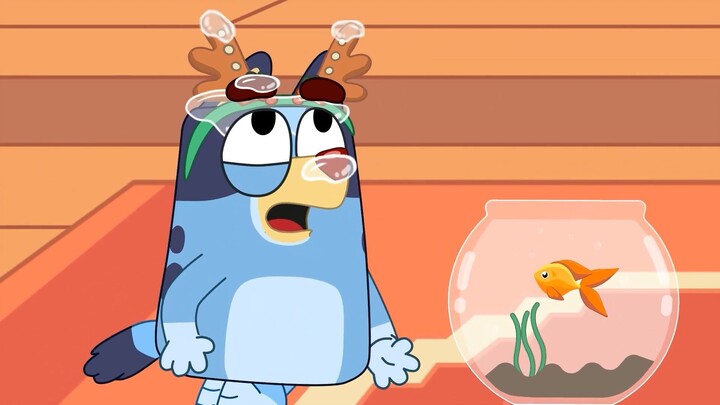 Bluey và Con Cá Vàng . Bluey với người bạn mới