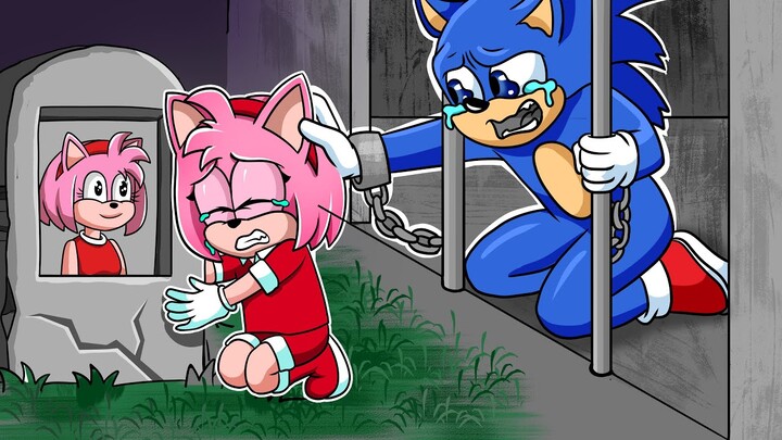 Sorry Baby Amy! I'm go to Prison - Sad Story - Poor Sonic's Life | Crew Paz