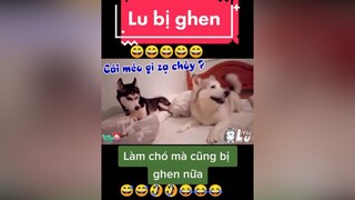 giaitri chócute chómèohàihước  Lu bị ghen