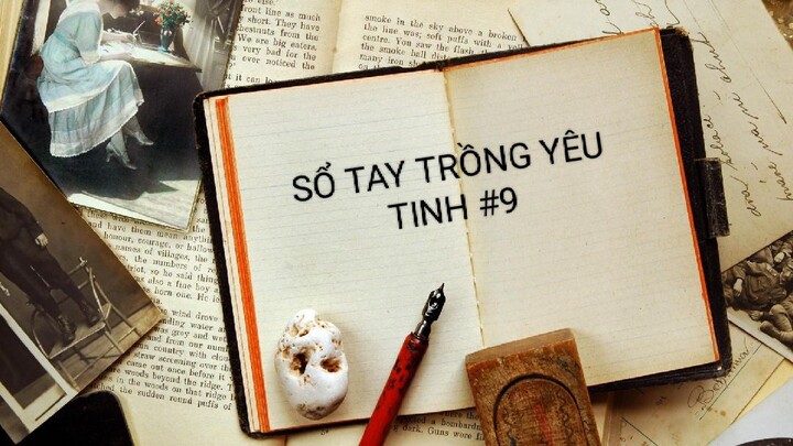 SỔ TAY TRỒNG YÊU TINH - TẬP 9/14