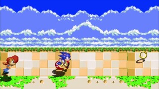 Sonic The Hedgehog Liberations-Bonus Stage