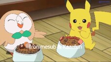 Pokemon Sun & Moon Episode 96