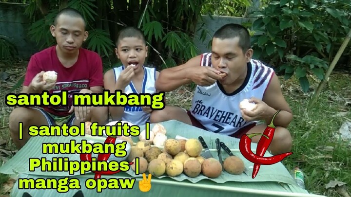 SANTOL MUKBANG | SANTOL FRUITS | MUKBANG PHILIPPINES | MANGA OPAW✌️