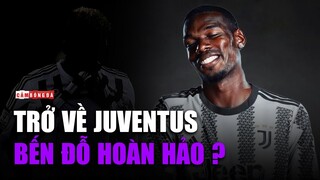 Paul Pogba trở lại Juventus | Những người cùng khổ tái hợp?