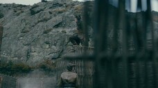 Vikings S 6 E 5 in hindi