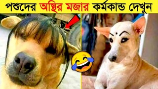 পশুদের মজার কর্মকান্ড ক্যামেরায় ধরা পড়া | Funny Animals Video 2023 (Part-26) | mayajaal