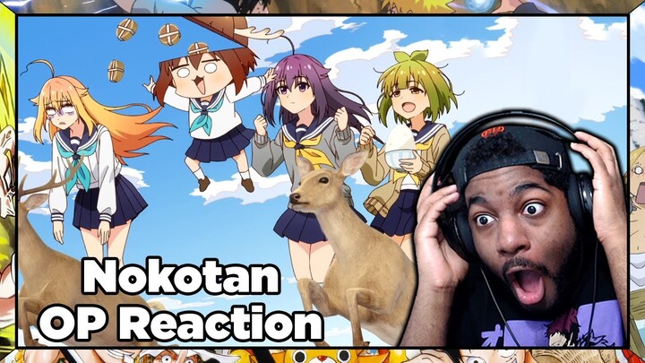 THIS SONG IS STUCK IN MY HEAD NOW!!! | My Deer Friend Nokotan Opening Reaction