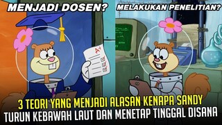 3 Teori alasan Kenapa Sandy turun kebawah Laut & Menetap tinggal disana | #spongebobpedia - 23