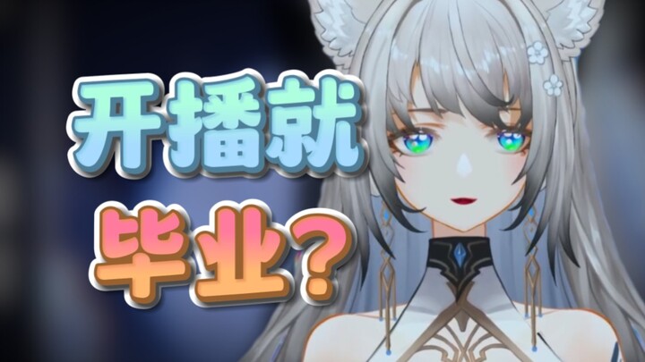 【小羊】新人Vtuber速通（极速版）