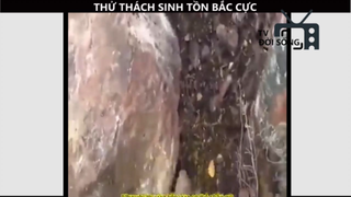 Thử thách sinh tồn _ ở Bắc Cực 100 ngày sẻ được 1 triệu đola bạn có muốn thử P9