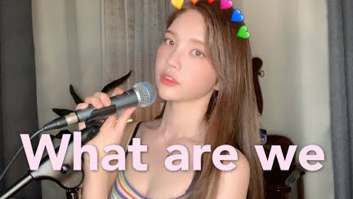 Cảnh báo chu kỳ đơn! Gao Yanzhi Cô gái trẻ Hàn Quốc hát "What are we" [XOOOS]
