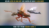 [Review Phim] Bộ Giáp Lượng Tử Biến Con Người Nhỏ Hơn Con Kiến | Ant Man