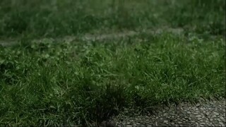Gaddar 7. Bölüm 720p