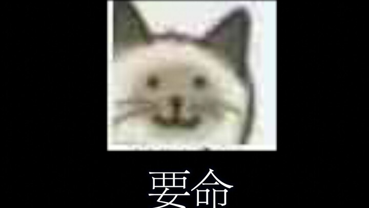 这就是王者荣耀的新法师嘛？