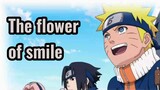 The flower of smile