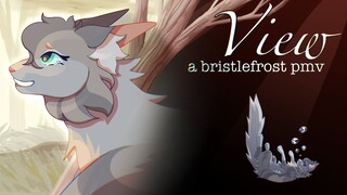 View - bristlefrost pmv 【 a light in the mist】