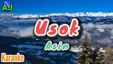 USOK - Asin | OPM KARAOKE HD