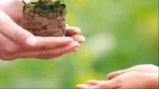 3 Câu Nói Của Kiểu Đàn Ông Mãi Nghèo Không Khá Lên Được