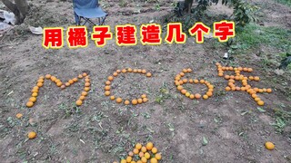 玩我的世界6年了，身体不太好，准备干点体力活，用橘子建几个字