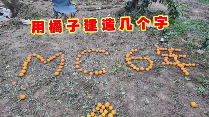 玩我的世界6年了，身体不太好，准备干点体力活，用橘子建几个字