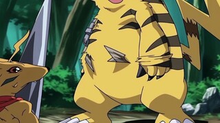 Pokémon (Digimon)