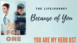 The Lifejourney – Because of You (You Are My Hero OST)