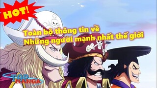 [Vivre Card]. Râu Trắng, Oden, Roger & Những người mạnh nhất thế giới!